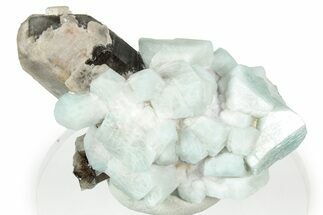 Amazonite Crystal Cluster with Smoky Quartz - Colorado #358643