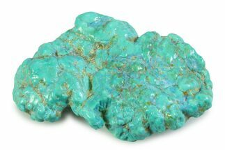 Polished Chilean Turquoise ( grams) Nugget #358850