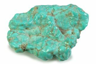Polished Chilean Turquoise ( grams) Nugget #358856