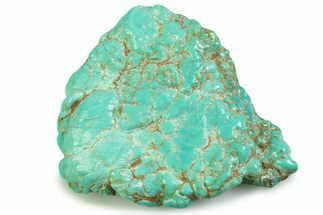 Polished Chilean Turquoise ( grams) Nugget #358858