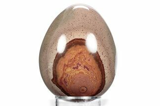 Polished Polychrome Jasper Egg - Madagascar #359038