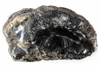 Rough Blue Indonesian Amber - Indonesia #359613