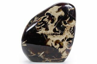 Tall Free-Standing Polished Indonesian Blue Amber #359561