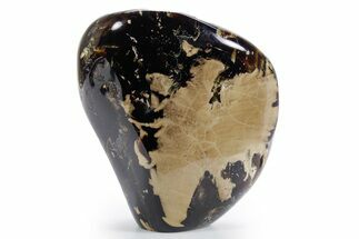 Tall Free-Standing Polished Indonesian Blue Amber #359564