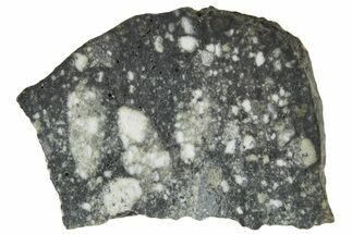 Polished Lunar Meteorite ( g) Slice - Aridal #360151