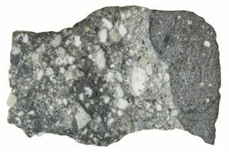 Polished Lunar Meteorite ( g) Slice - Aridal #360159