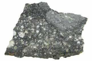 Polished Lunar Meteorite ( g) Slice - Aridal #360160