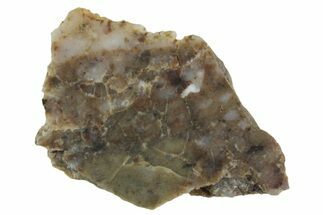Lunar Meteorite ( g) Slice - Laayoune #360189