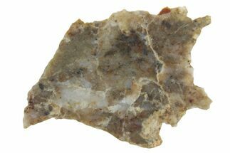 Lunar Meteorite ( g) Slice - Laayoune #360192