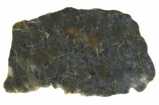 Lunar Meteorite ( g) Section - Laayoune #360201