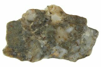 Lunar Meteorite ( g) Section - Laayoune #360202