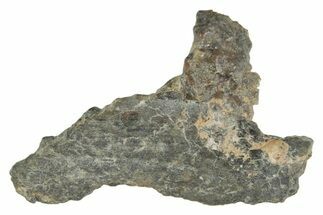 Lunar Meteorite ( g) Section - Laayoune #360215