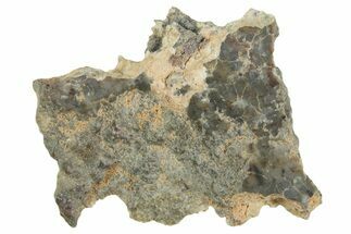 Lunar Meteorite ( g) Section - Laayoune #360216