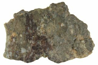 Lunar Meteorite ( g) Section - Laayoune #360217