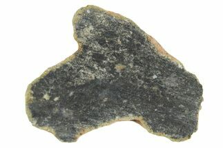 Polished Lunar Meteorite ( g) Section - NWA #360234