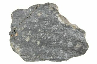 Polished Lunar Meteorite ( g) Section - NWA #360237