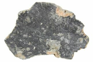 Polished Lunar Meteorite ( g) Section - NWA #360240