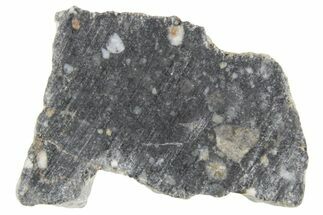 Polished Lunar Meteorite ( g) Section - NWA #360243