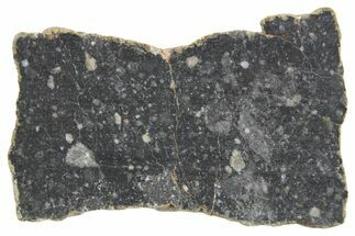 Polished Lunar Meteorite ( g) Slice - NWA #360271