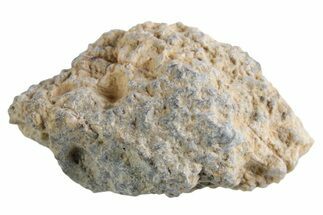 Lunar Meteorite ( g) - Bechar #360383