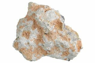 Bechar 003 Meteorites For Sale