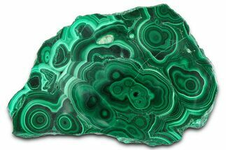 Flowery Polished Malachite Slab - DR Congo #360529