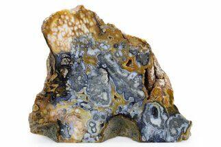 Spectacular, Free-Standing Polished Marcasite Agate - Indonesia #360468