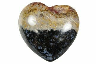 Polished Petrified Palm Root Heart - Indonesia #360635