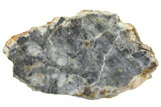 Lunar Meteorite ( g) Slice - Bechar #360553