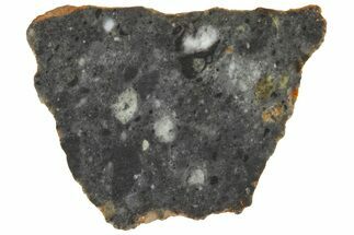 Lunar Meteorite ( g) Slice - Bechar #360556