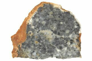 Lunar Meteorite ( g) Slice - Bechar #360559