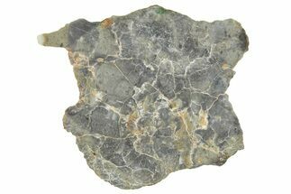 NWA Lunar Meteorite ( g) Slice #360586