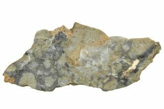 NWA Lunar Meteorite ( g) Slice #360591