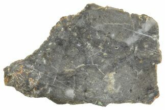 NWA Lunar Meteorite ( g) Slice #360598