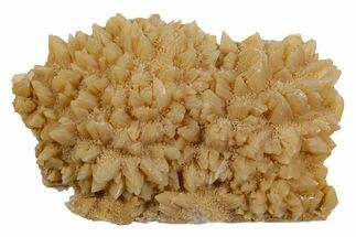 Sharp Dogtooth Calcite Crystal Cluster - Utah #360660