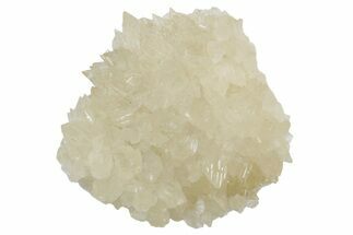 Sharp Dogtooth Calcite Crystal Cluster - Utah #360662