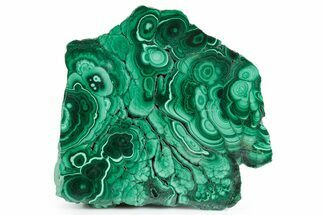 Flowery Polished Malachite Slab - DR Congo #360753