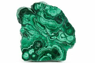 Flowery Polished Malachite Slab - DR Congo #360767