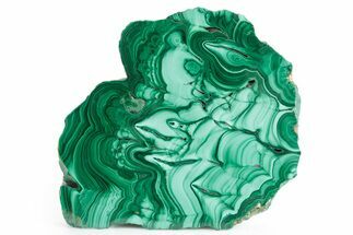 Flowery Polished Malachite Slab - DR Congo #360770