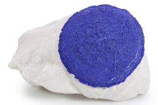 Vibrant Blue Azurite Sun on Siltstone - Australia #361139