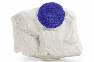 Vibrant Blue Azurite Sun on Siltstone - Australia #361142