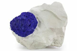 Vibrant Blue Azurite Sun on Siltstone - Australia #361221