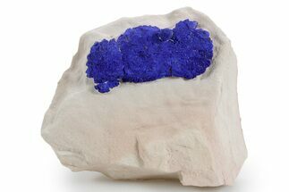 Vibrant Blue Azurite Sun Cluster on Siltstone - Australia #361229