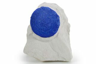 Vibrant Blue Azurite Sun on Siltstone - Australia #361232