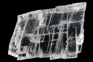 Glassy Selenite Utah Ice Sheet- Hanksville, Utah #361248