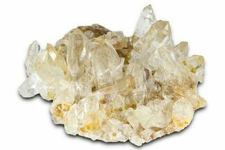 Quartz Crystal Cluster - Porter Claim, Washington #361313