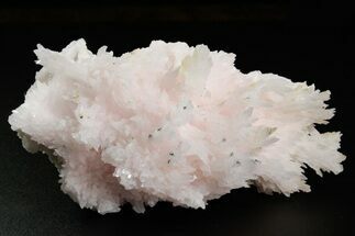 Pink Manganoan Calcite Crystal Cluster - Fluorescent! #361512