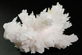Pink Manganoan Calcite Crystal Cluster - Fluorescent! #361517