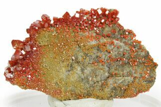 Glittering Ruby Red Vanadinite Crystals - Arizona #361557