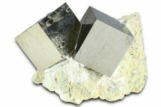 Two Natural Intertwined Pyrite Cubes In Rock - Navajun, Spain #361772
